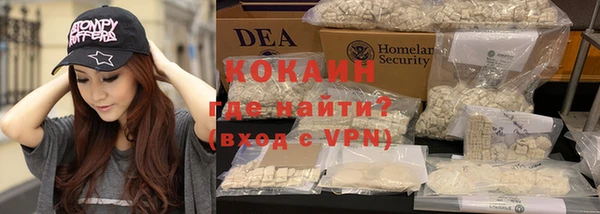 кокс Богородицк
